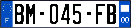 BM-045-FB