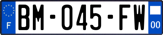 BM-045-FW