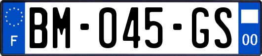 BM-045-GS