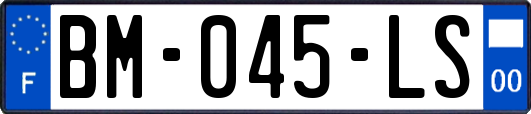 BM-045-LS