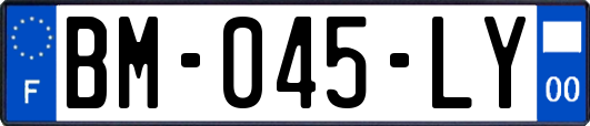 BM-045-LY