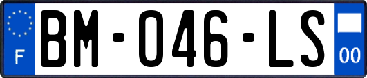 BM-046-LS