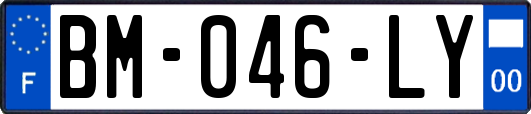 BM-046-LY