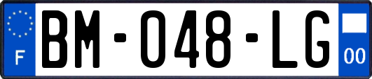 BM-048-LG