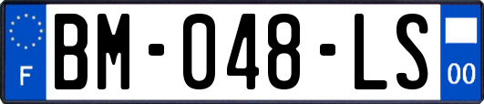 BM-048-LS