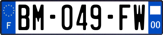 BM-049-FW