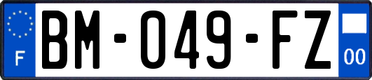 BM-049-FZ