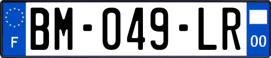 BM-049-LR