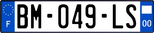 BM-049-LS