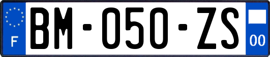 BM-050-ZS