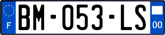 BM-053-LS