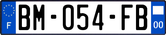 BM-054-FB