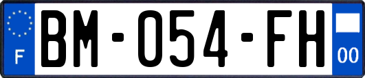 BM-054-FH