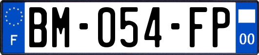 BM-054-FP