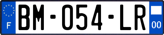 BM-054-LR