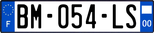 BM-054-LS