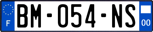 BM-054-NS