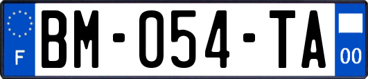 BM-054-TA