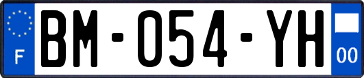 BM-054-YH