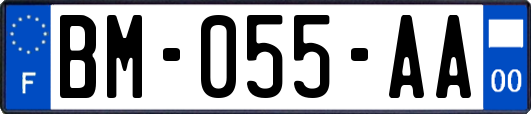 BM-055-AA