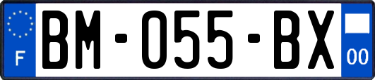 BM-055-BX