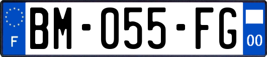 BM-055-FG