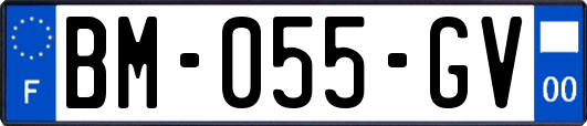 BM-055-GV