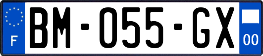 BM-055-GX