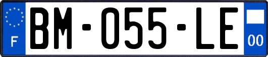 BM-055-LE