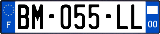 BM-055-LL