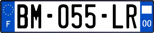 BM-055-LR