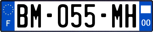 BM-055-MH