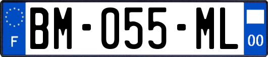 BM-055-ML