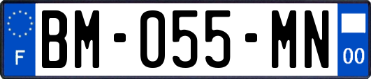 BM-055-MN