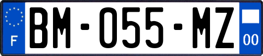 BM-055-MZ