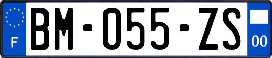 BM-055-ZS