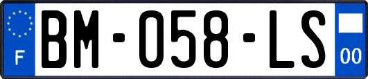 BM-058-LS