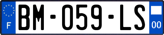 BM-059-LS