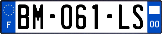 BM-061-LS