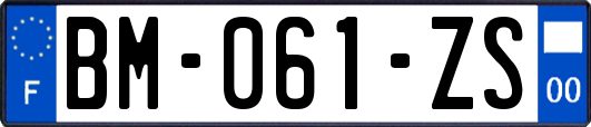 BM-061-ZS