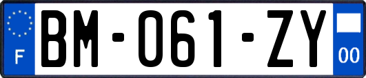 BM-061-ZY