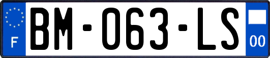 BM-063-LS