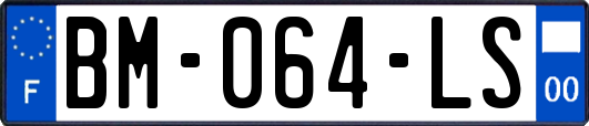 BM-064-LS