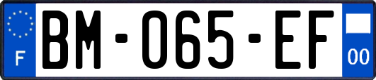 BM-065-EF