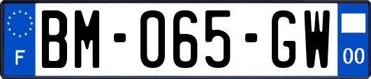 BM-065-GW