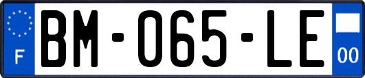 BM-065-LE