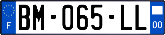 BM-065-LL