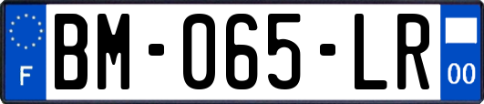 BM-065-LR