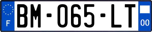 BM-065-LT