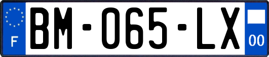 BM-065-LX